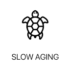 Slow Aging